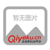 修理廣州地區(qū)柴油發(fā)電機(jī)，修理廣州地區(qū)柴油發(fā)電機(jī)組(圖)